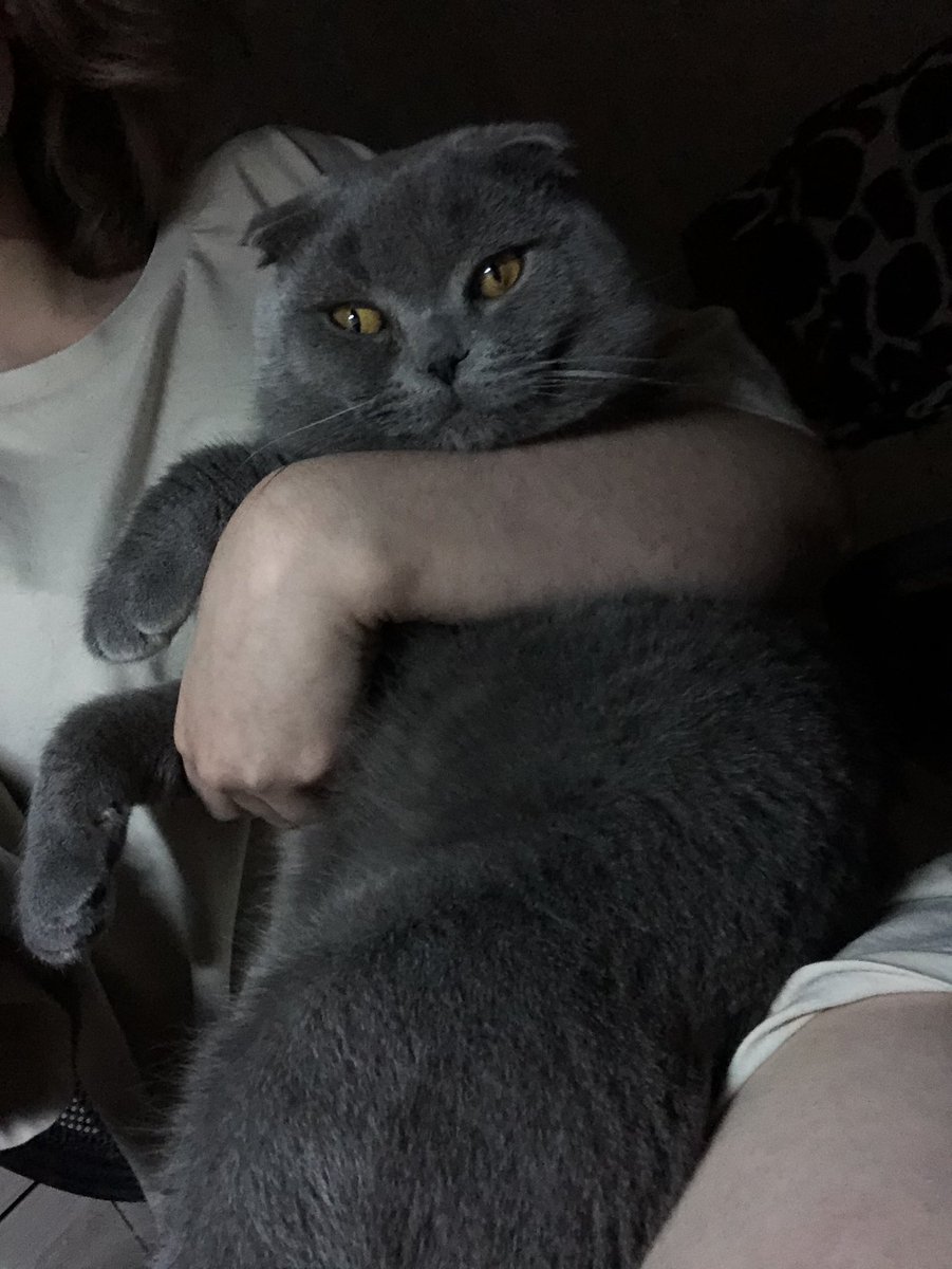 tanétta🌙🤍 tweet media