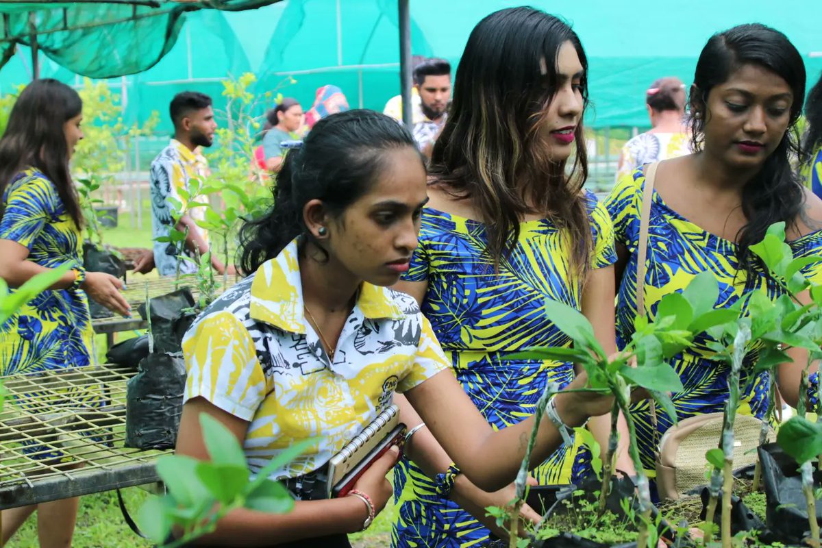 FNUFiji's tweet photo. ✅️ Bachelor of Science in Agriculture programme students  accompanied by some of the Masters of Science in Agriculture students at the Plant Health Clinic at Sigatoka Research Station

#TeamFNU #NoquFNU #CAFF https://t.co/z1PJBsz0L7