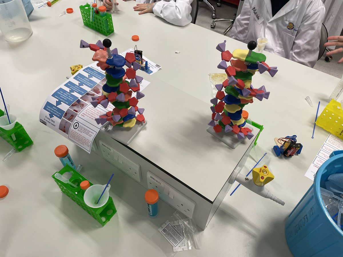 *Busy* afternoon with @Cellexplorers @UCC doing three #fantasticDNA workshops as part of #CorkScience Huge thank you to the 60+ children scientists & our amazing demonstrators!🍌🍌@bioucc @SEFSUCC @scienceirel #ScienceWeek2022 #believeinscience