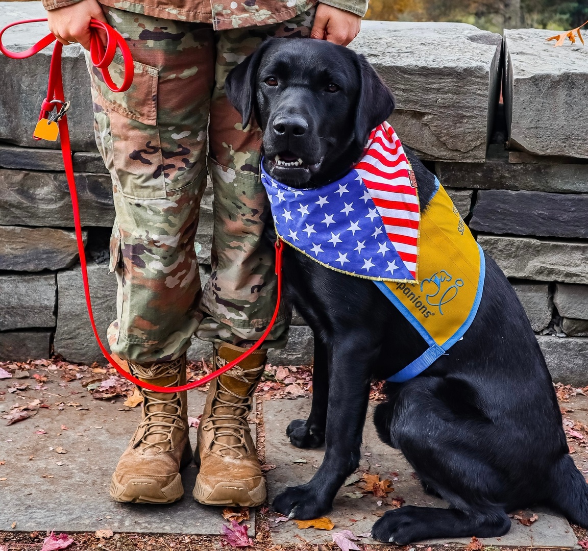 Red Roof tweet media