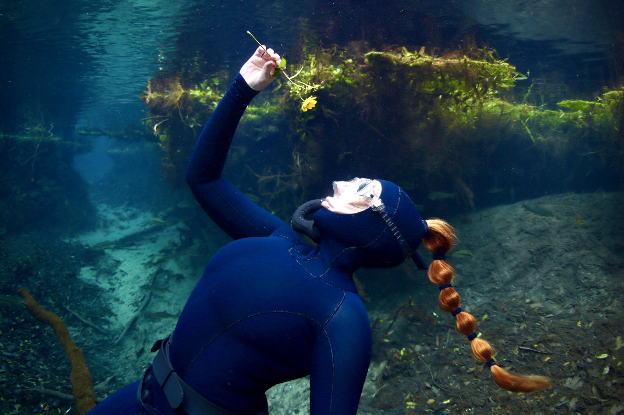 TW Pornstars - Coralia Baby. Twitter. Did my first underwater photoshoot in my new wetsuit today