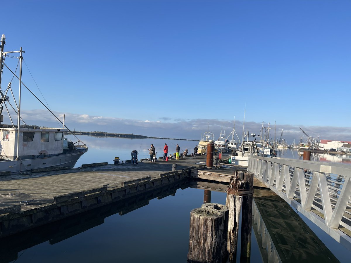 Beautiful morning in Steveston Village! 😎 #steveston #stevestoninsider #pallamedia #fishingvillage