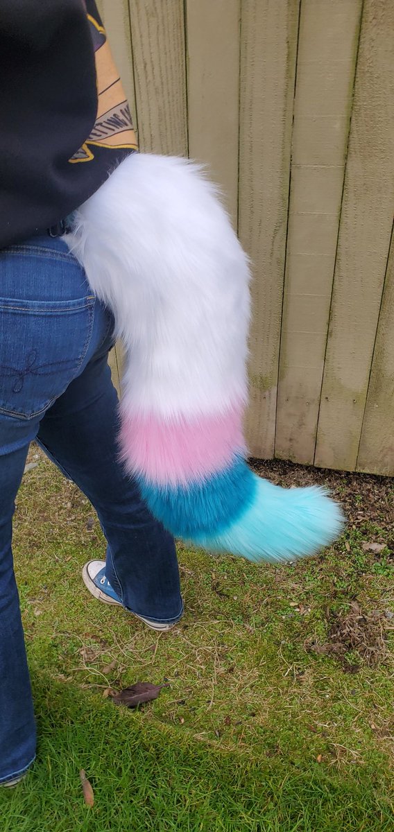 2ScreamingCrows's tweet photo. Check out these tails we made for #WFS43 raffle! The theme was pokemon so we based these off of sylveon and galarian zigzagoon! https://t.co/VHbVhk1a96