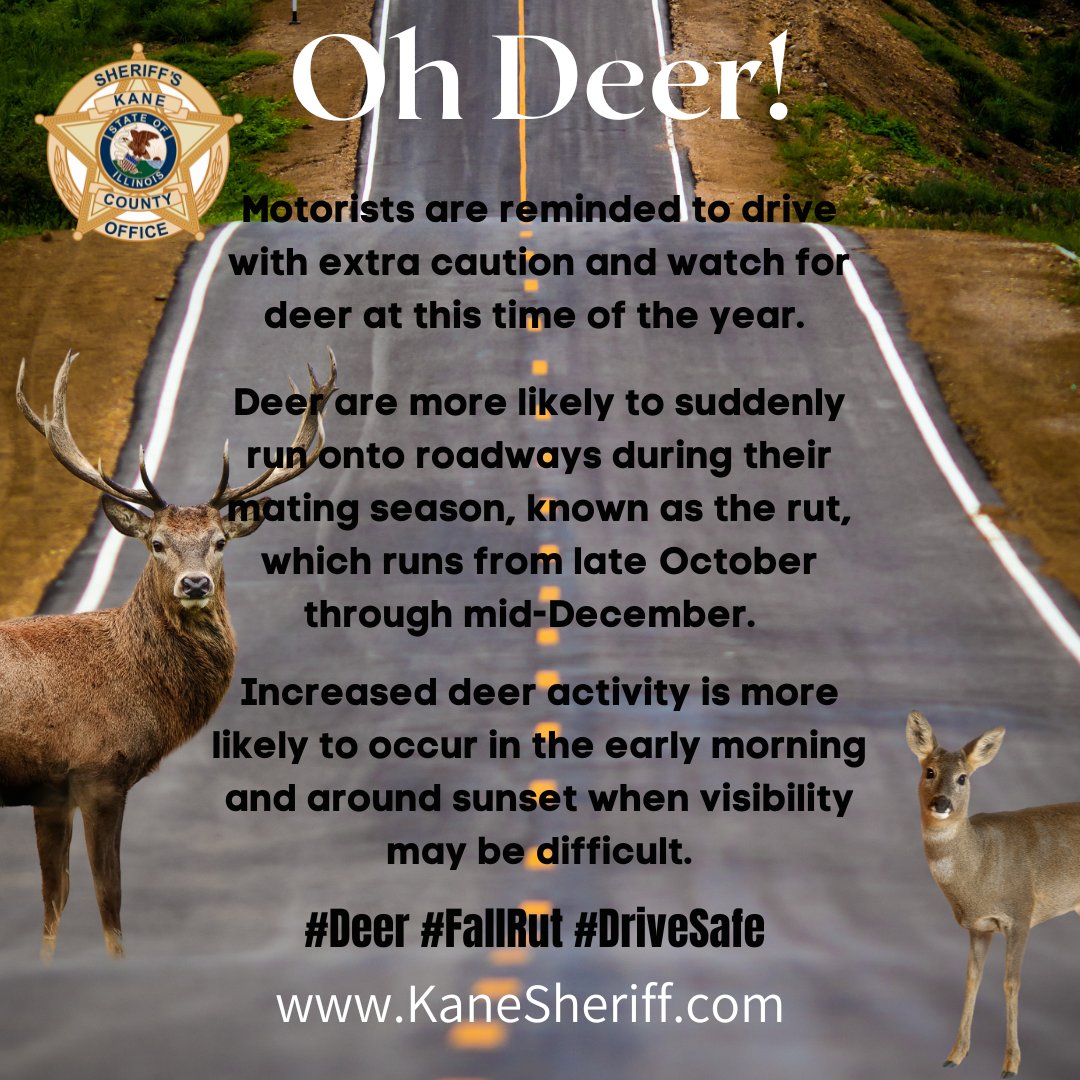 #Deer #FallRut #DriveSafe