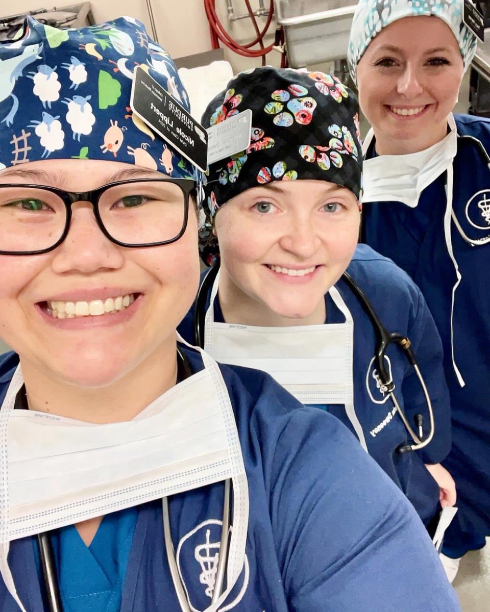 Tweet by Purdue Veterinary Medicine