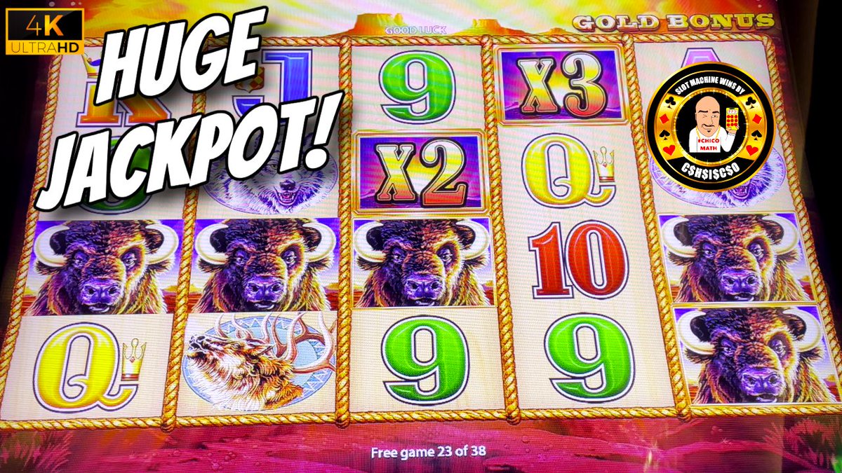43 free spins pays HUGE JACKPOT!

