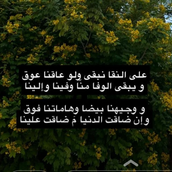#صورة_ملف_شخصي_جديدة