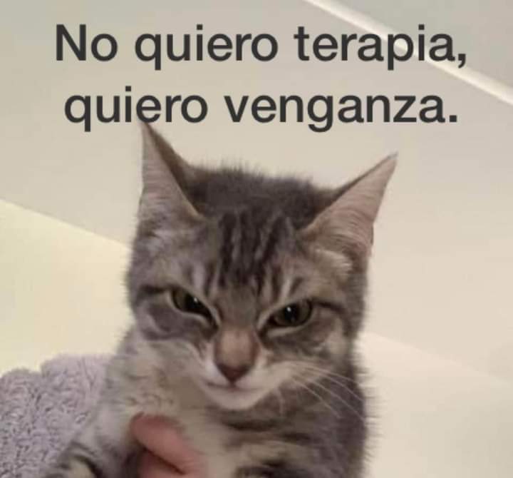 MarianaCalderoo's tweet photo. @redbullracing 😠😠😠😠 https://t.co/aY04jWKrXS