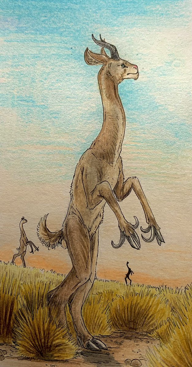 Thespeculator21's tweet photo. walkabout, a group of facultative bipedal antelope descending from impala. They use hooked dew claws to not only pull down the branches of trees but slash and strike at predatory canids. 

#speculativeevolution #speculativebiology #SpecEvo #Worldbuilding #impla #antalope https://t.co/EFkaUqPfY6