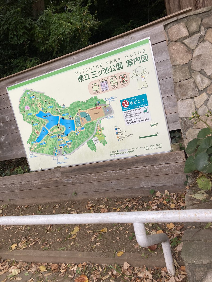 yasutake31's tweet photo. リアルに５億年ぶりぐらいにきた https://t.co/TC1i7DbdqQ