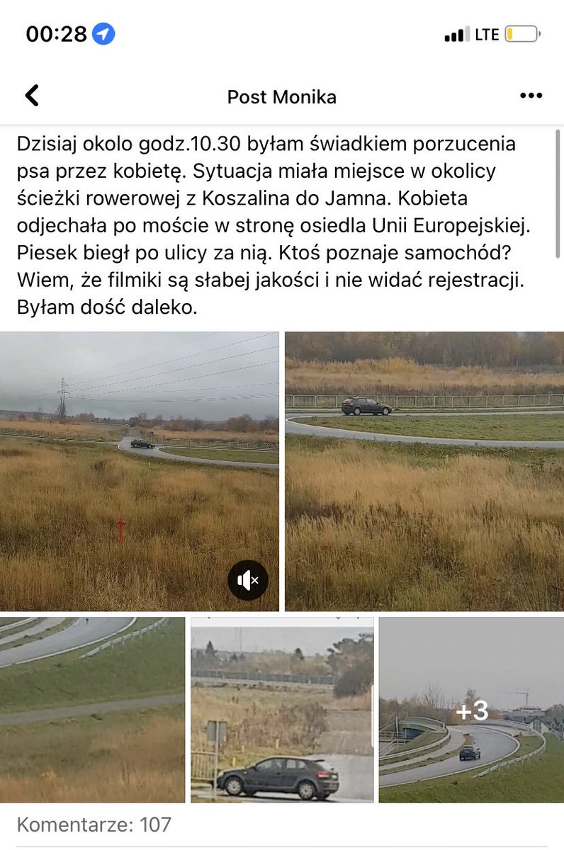 xmlmbx's tweet photo. 🚨Halo halo #Koszalin i okolice. Szukamy kobiety i samochodu, ktora 14.11.2022r. porzuciła psa w Koszalinie. 🚨

🚨Proszę o #RT 🚨 https://t.co/PFFdk5lsOi