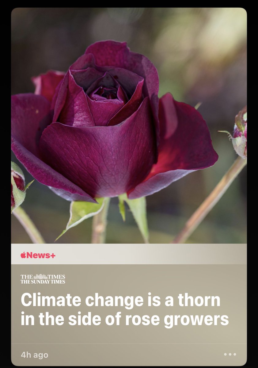 Clint Martin tweet media