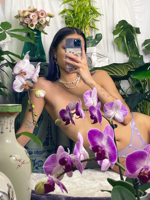 in my garden 🪷 https://t.co/vU0n5k4kUy