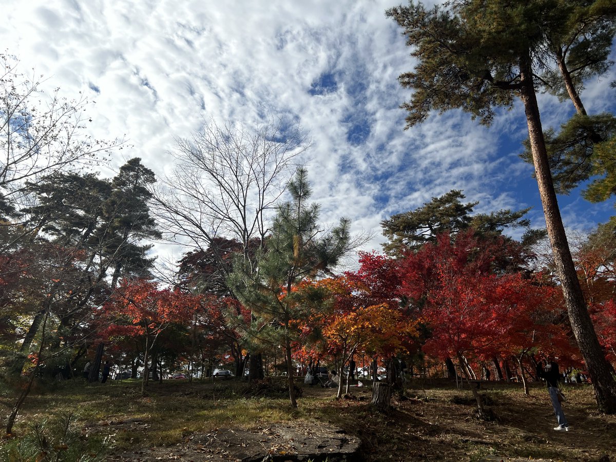 「月の石もみじ公園というところです。今日は秋晴れ、風も思ったより強くなく、暖かい日」|た介のイラスト