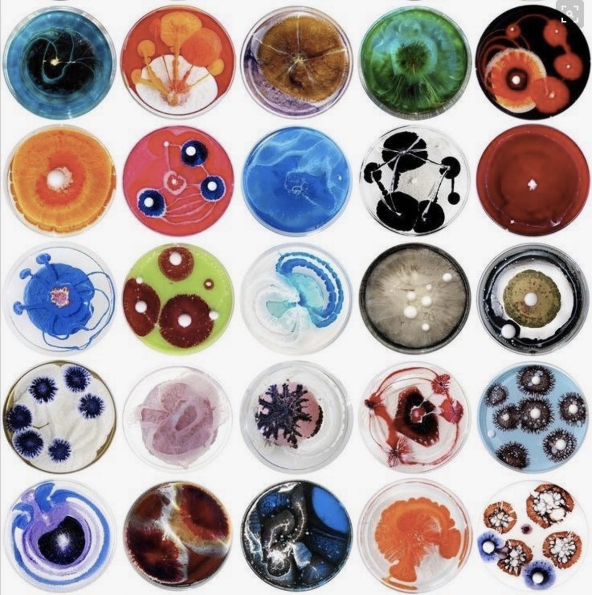 thatbdohernails's tweet photo. petri dish nails 🦠🧪 https://t.co/9EH9k1yZrE