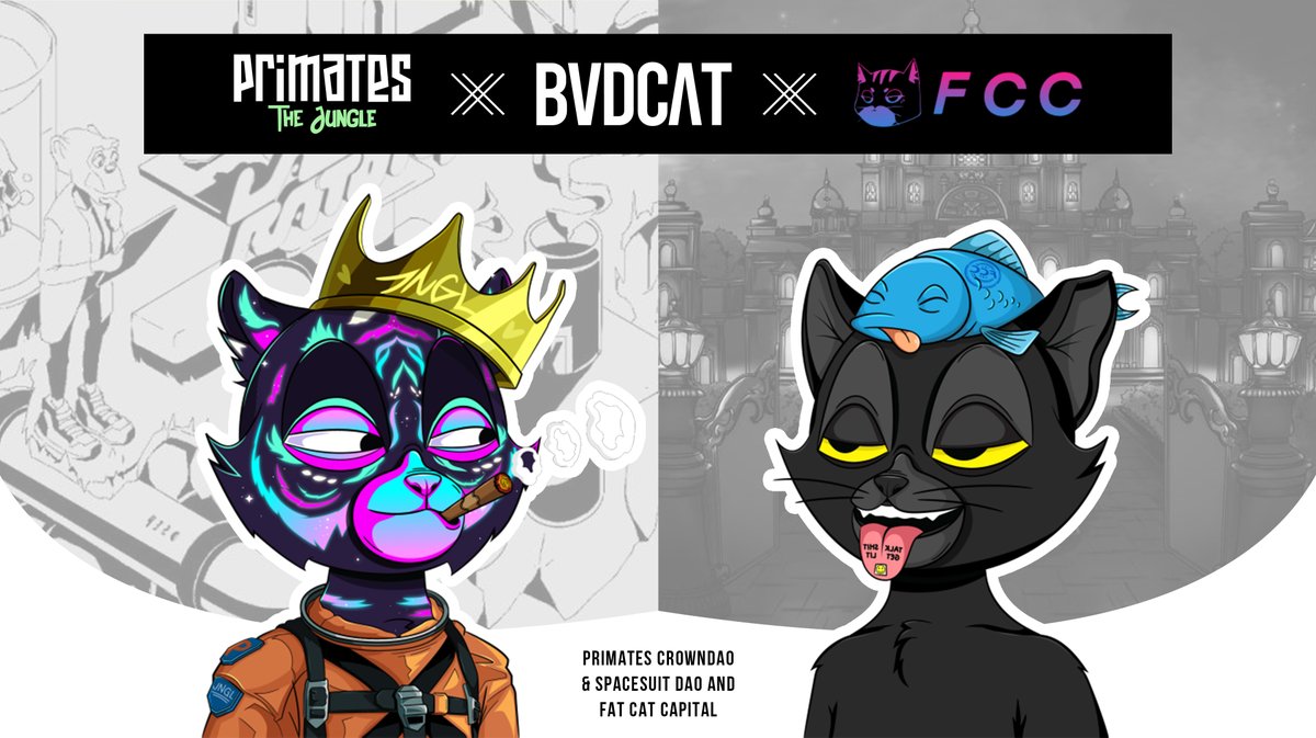 BVDCAT_'s tweet photo. We'll be celebrating our 2nd set of partnership trait collaborations with a space tomorrow featuring;

@SpaceSuitDAO
@FatCatsCapital 

Catch it live @ 3:00PM EST ⤵
https://t.co/LYcyduiDOx

Make sure to hit that🔔for more reveals from our Partnership II Trait Collection. 

#WEBVD https://t.co/eFtr9goUy7
