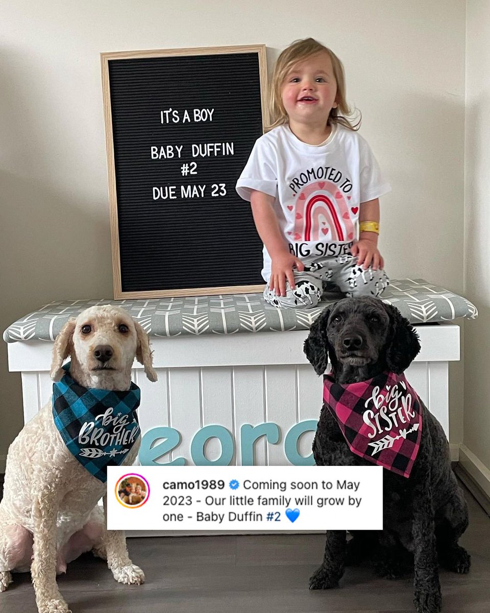 hawthornaflw's tweet photo. Congratulations to our outgoing vice-captain Jess Duffin and husband Chris who today announced that they're welcoming a baby boy into their beautiful family! 🥰 https://t.co/p8jPgjO2CA