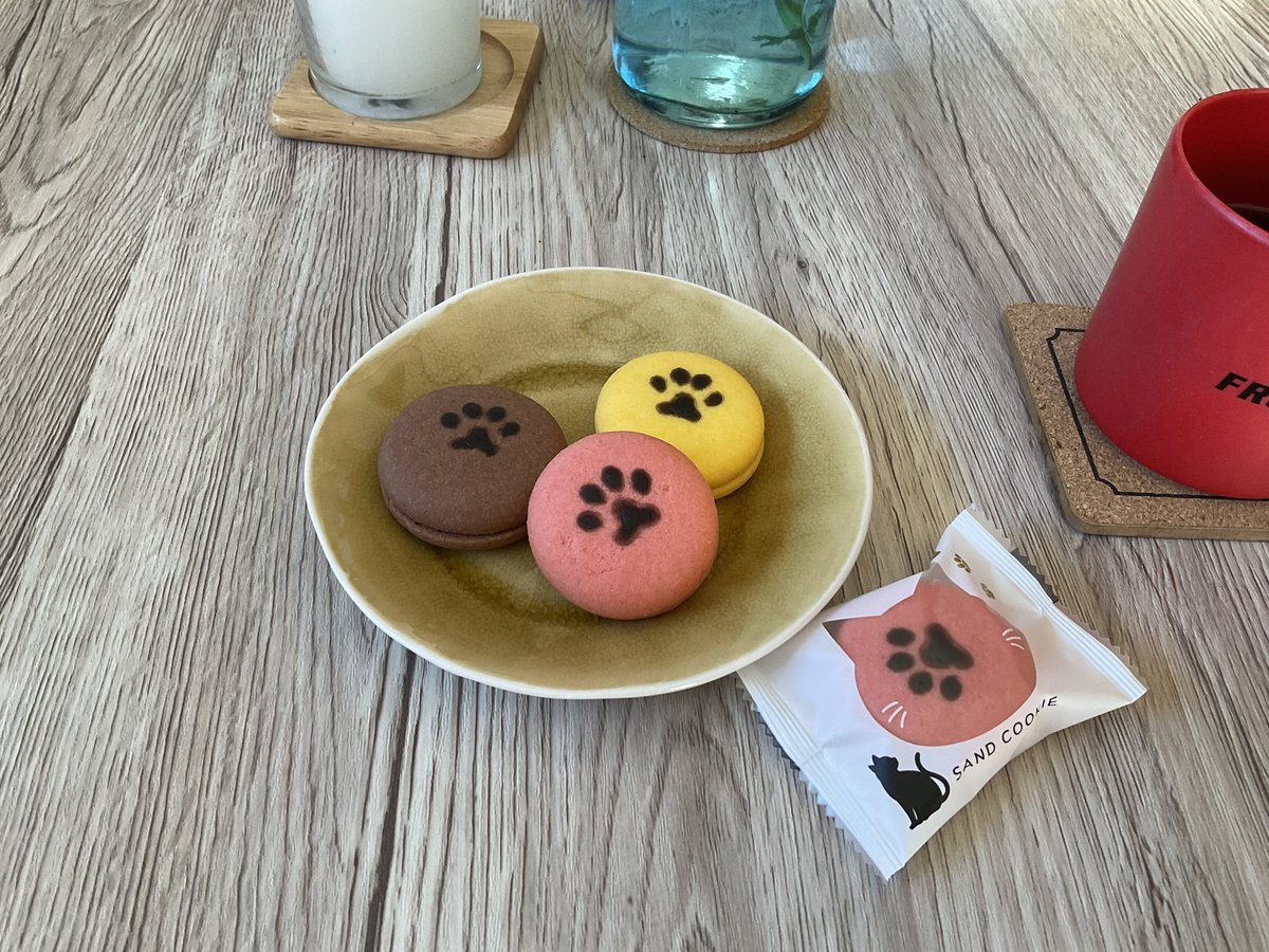AMOTrader's tweet photo. グンマー土産のネコロンです🐱

#ネコロン https://t.co/0zBZ2RphV4