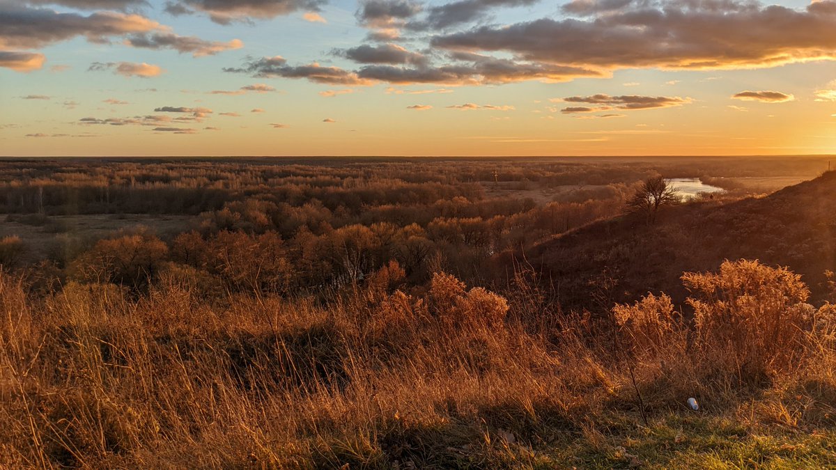 Денис Матюхин tweet media