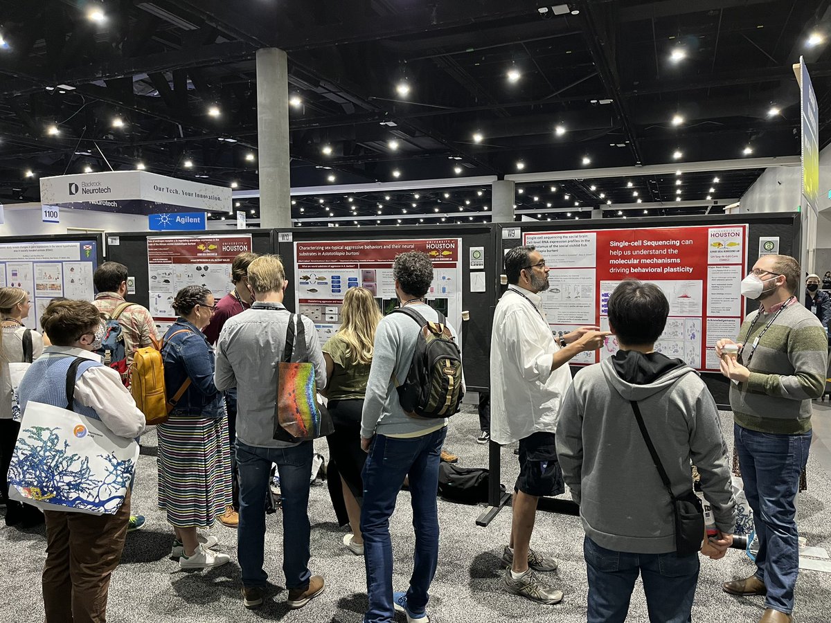Awesome day of posters from the lab at #SfN22. We got a good amount of visitors! Congrats <a href="/marianaselenel1/">Mariana Lopez</a> <a href="/LillianJackson_/">Lillian Jackson</a> and <a href="/APHoadley/">andrew</a>! Thank you to those who showed up!