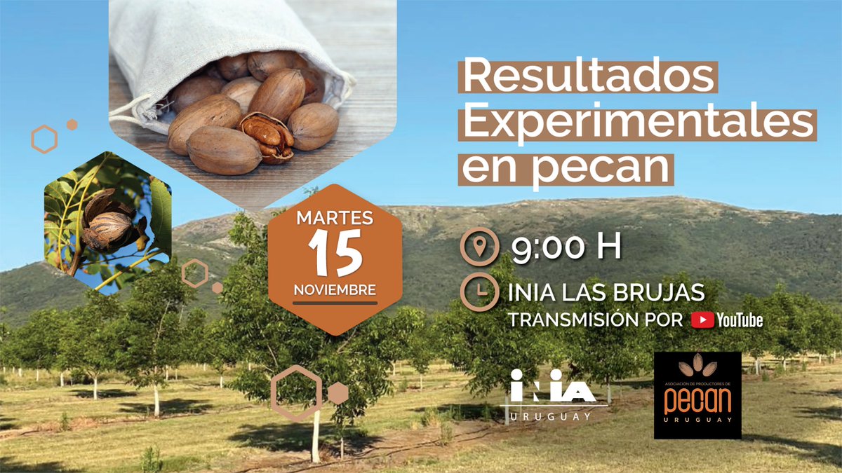INIA_UY's tweet photo. 📢Jornada de presentación de resultados experimentales en pecán en @INIA_UY @INIALB 

🗓️15/11 ⏰9:00 h📍 INIA Las Brujas 

🌐Programa disponible en: https://t.co/culwF7dHb5 

Co-organizan: Asociación de Productores de Pecán del Uruguay #APPU https://t.co/jquCkJLqJf