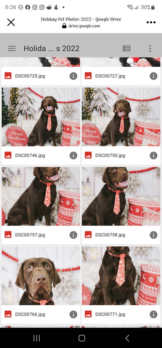backstreet's tweet photo. Stoppp he looks so handsome in his Christmas pics 🥹

Too bad the site is giving me errors and not letting me save them so all I have are the thumbnails at the moment https://t.co/rv5QXiy3Dj
