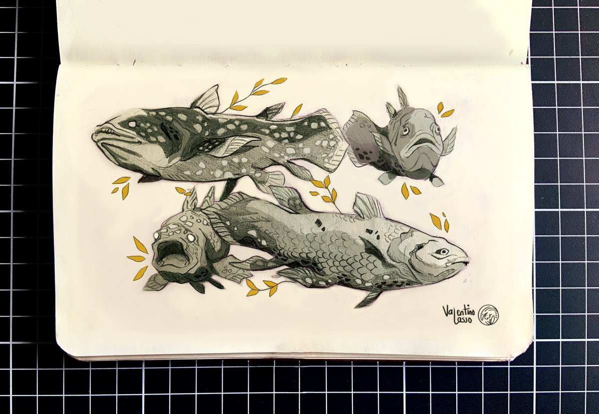 valentino_lasso's tweet photo. The•Fossil•Fish🌿 https://t.co/8AmdgA068K