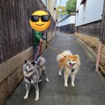 ツイートに含まれる画像