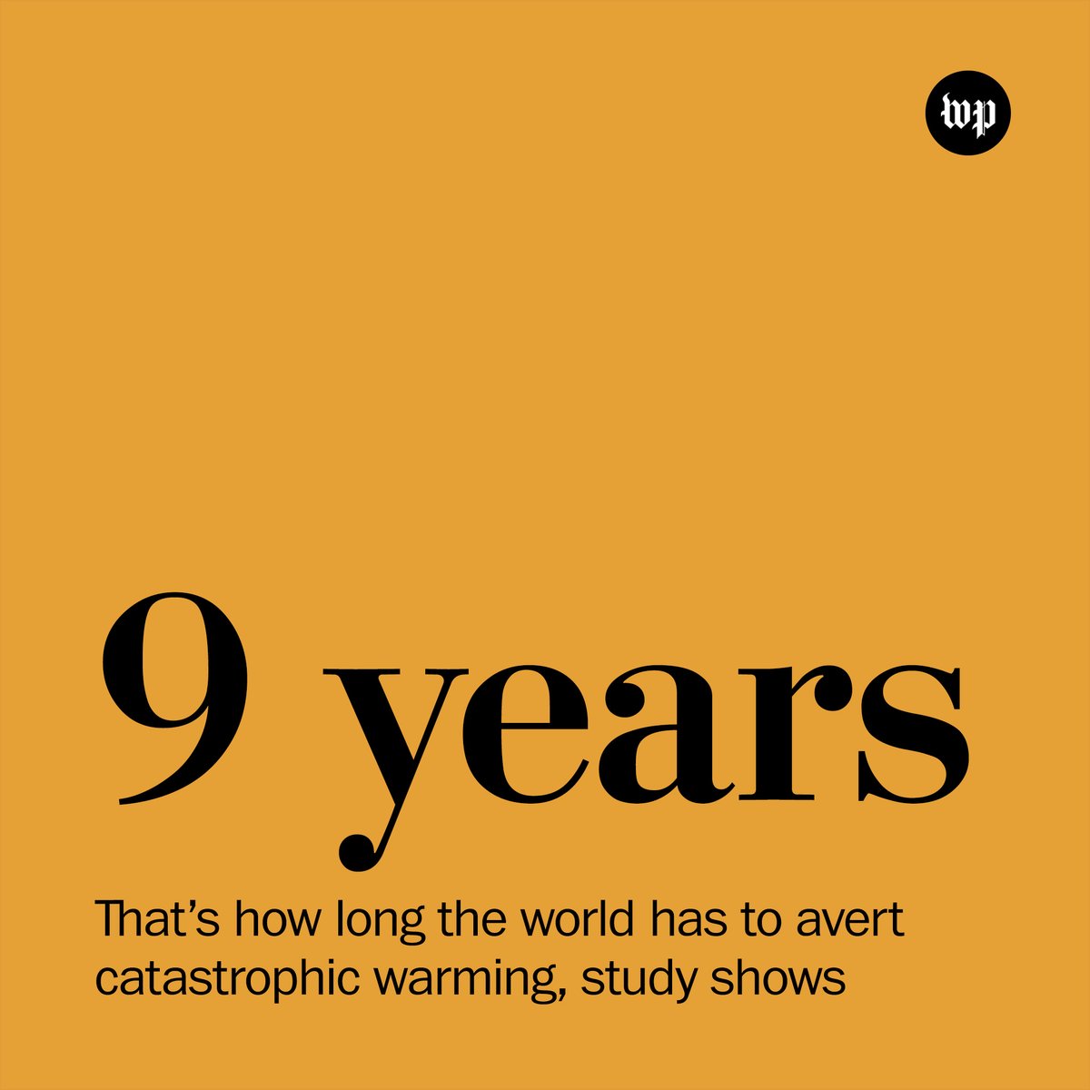 The Washington Post tweet media