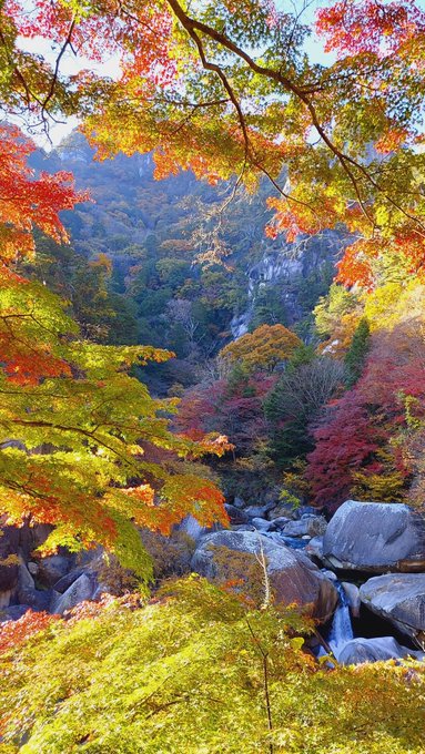 作家仲間と紅葉狩りに行ってました昇仙峡、ウソみたいにきれいだった!!カンド～～ 