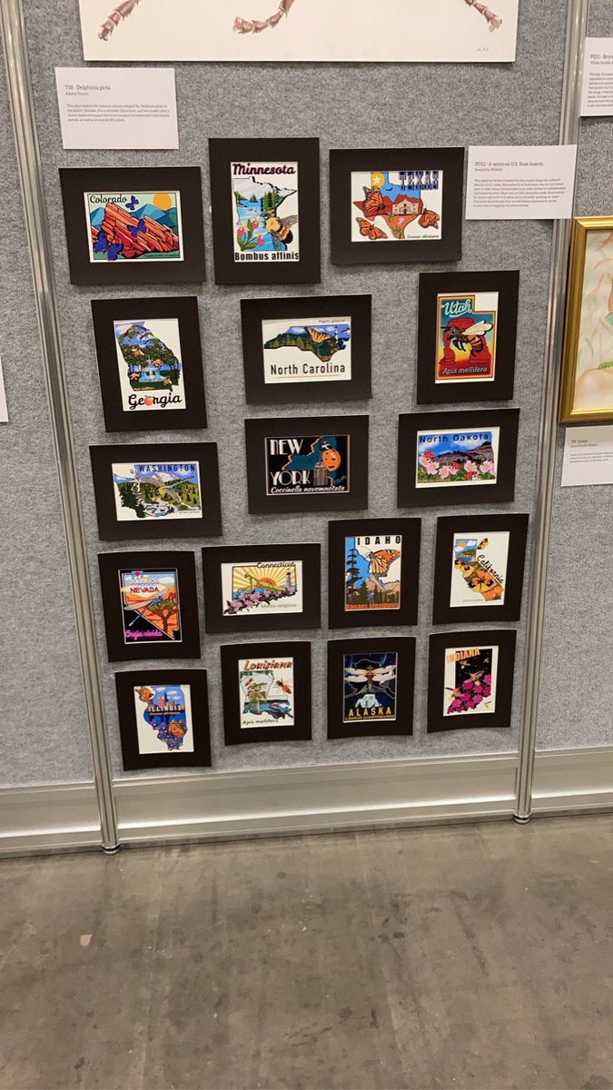 Check out my US State Insect Series and other amazing entomological artwork at #EntSoc22 . Vote for your favorite piece in the exhibit hall by Wednesday at 11am.