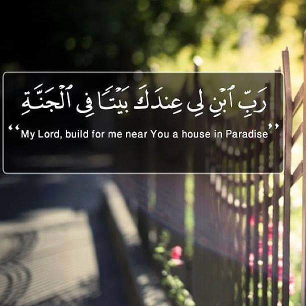 AhlMrabih's tweet photo. https://t.co/PNtWkdPiBU