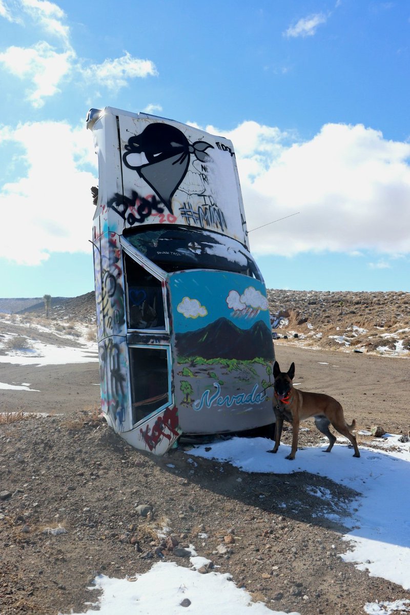 VoteBlu4animals's tweet photo. @AdamParkhomenko GO Nevada! So proud of Clark County. #DogsForDems https://t.co/6y5eMXH6hx