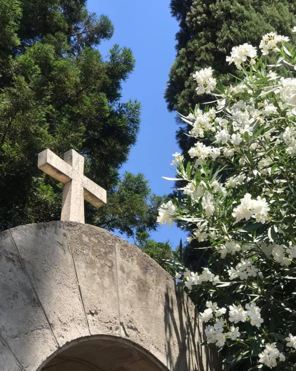 monksofvina's tweet photo. "In all circumstances give thanks, for this is the will of God for you in Christ Jesus." - 1 Thessalonians 5:18

#abbeyofourladynewclairvaux #crossoftheweek #thanksgiving https://t.co/WFBegfNzkf