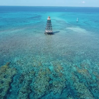 #NewProfilePic https://t.co/8peujchMxq<a href="/tag/newprofilepic"class="tags">#NewProfilePic</a>