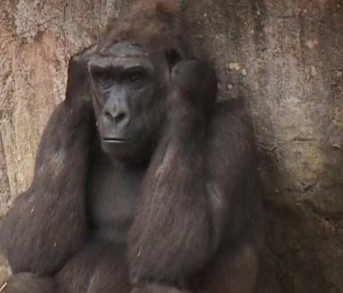 Watch raticoncito's leaked NSFW photo on TwXstars