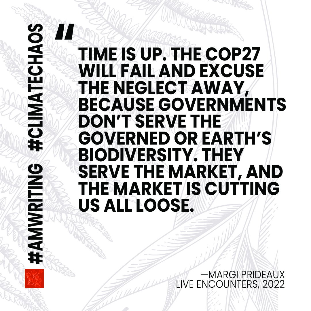 Margi Prideaux tweet media