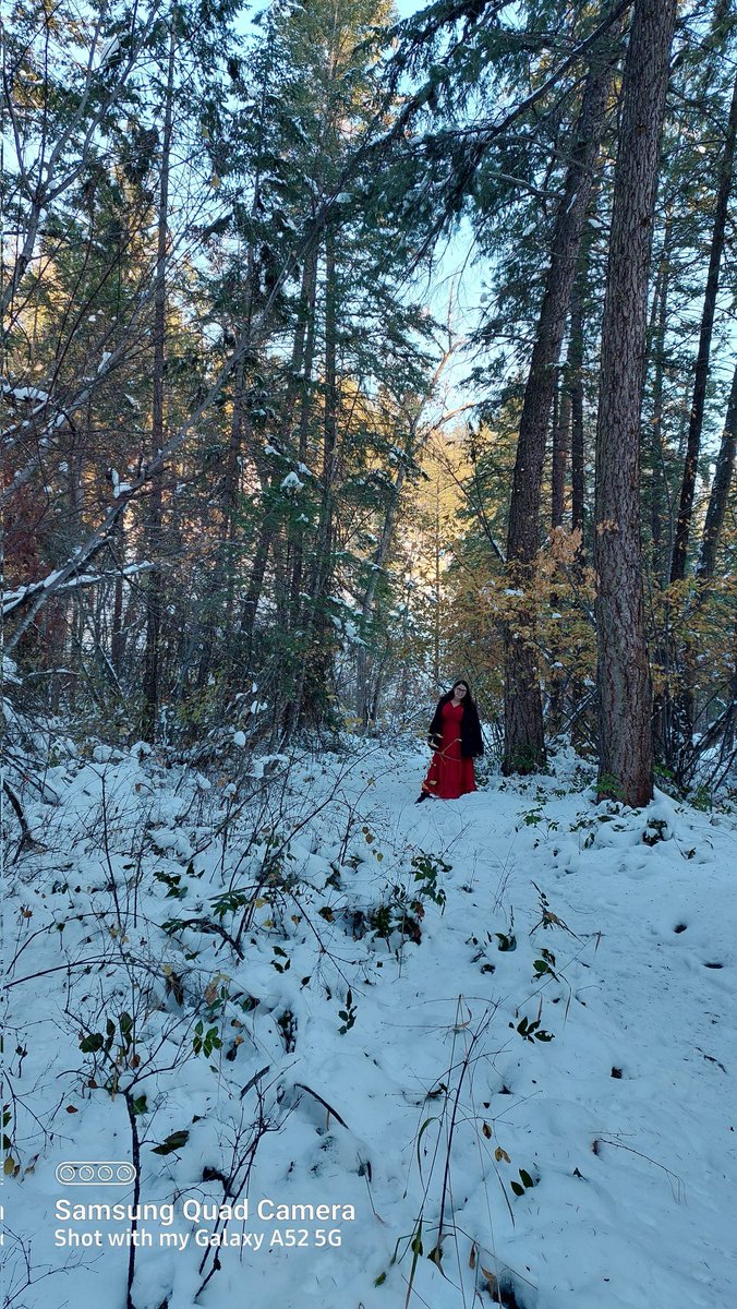All my best ideas come while walking in the woods. Luckily the #okanagan has amazing places to wander.

#livingthedream #ideaWalks