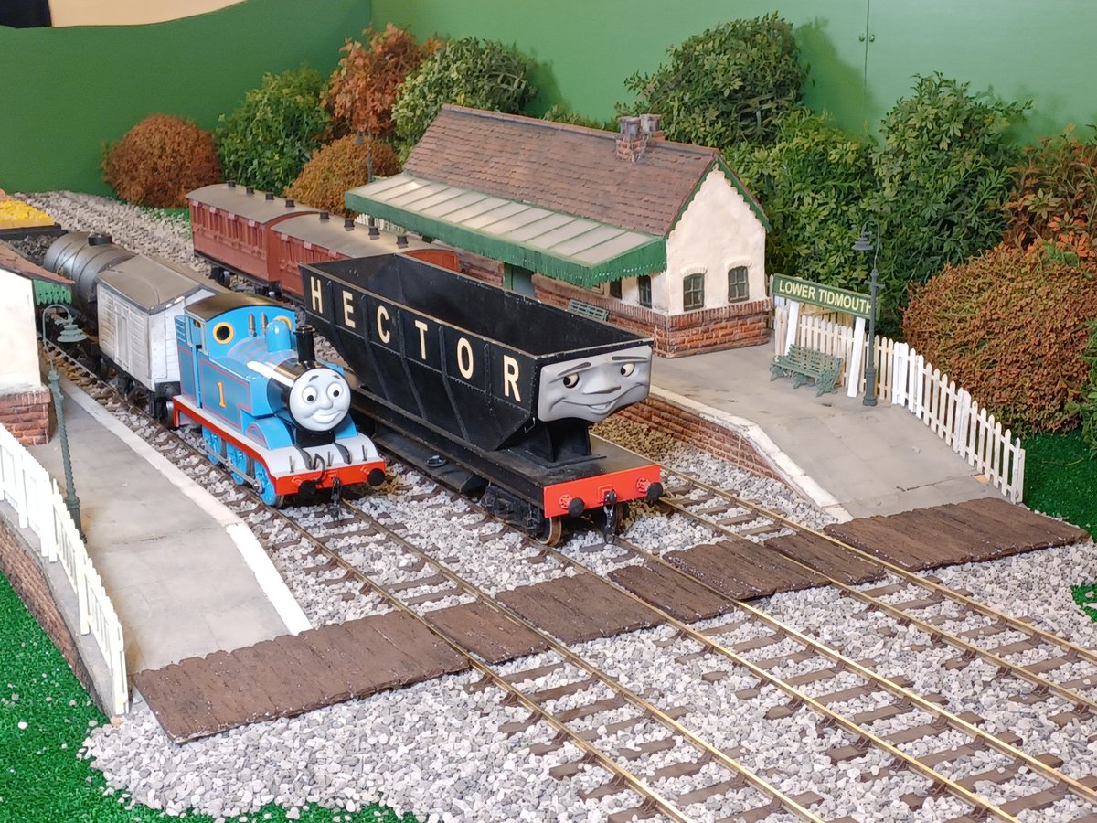 SeaSwine 🦀 Comms Closed tweet media