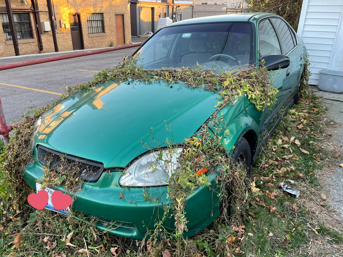 This is Francis. He needs a new home. He is a Honda Civic&amp;has no brakes. You can have this friend for the low price of coming to get him + a pack of Trident Layers. When operational he’s a blast to drive, and I’m sad to see him go but the city is pissed &amp; doesn’t appreciate art.