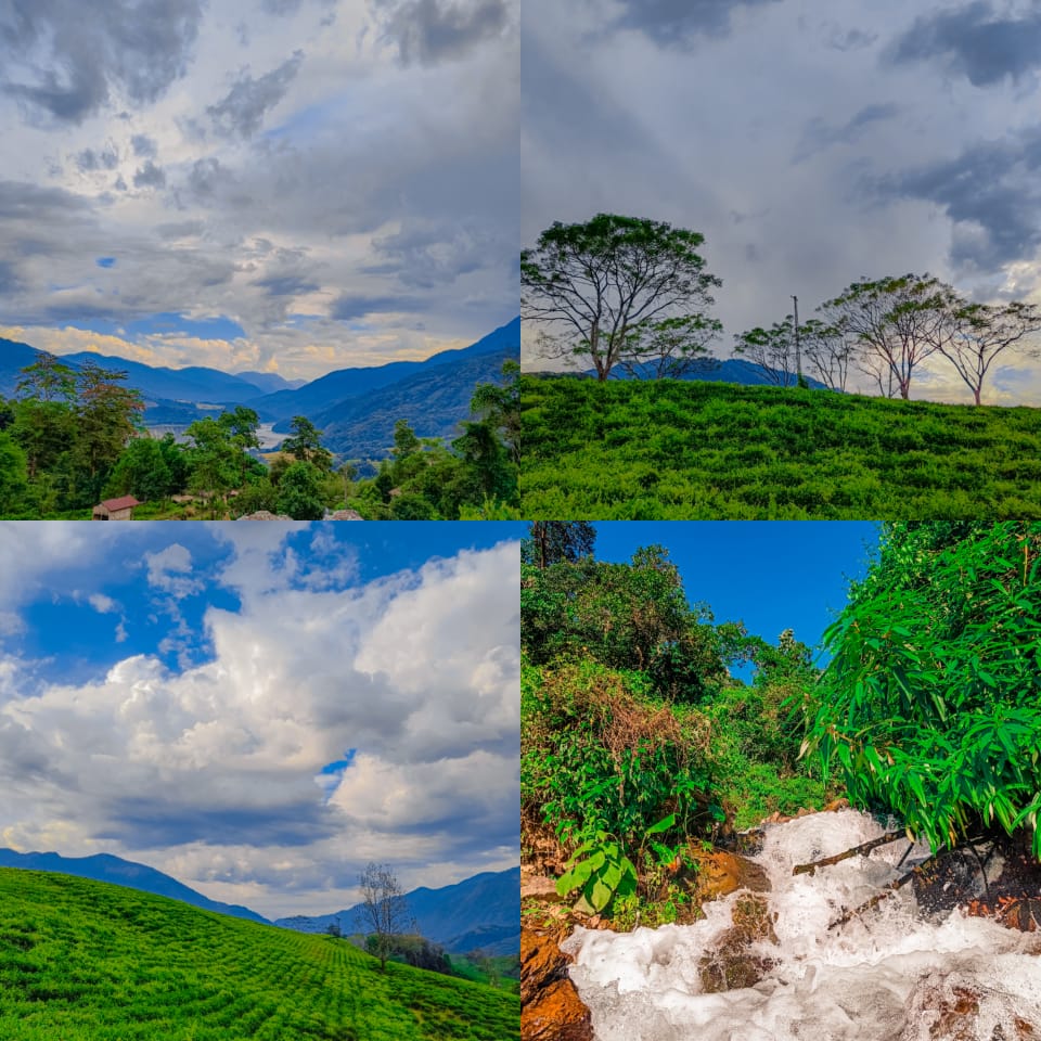 Borokha7's tweet image. ✨ এইয়া বনৰীয়া সুবাসবোৰ 🌿
 যʼত সহযত্ন,আলাসৰে এপদ, এপদতকৈ  প্ৰকৃতিয়ে সংগ্ৰহ কৰি ধৰিত্ৰীৰ  চুকে-কোণে ৰাখিছে ! 🍃
.
.
.