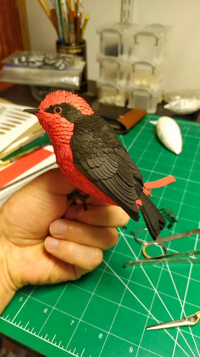 Escultura en papel, Pyrocephalus rubinus.