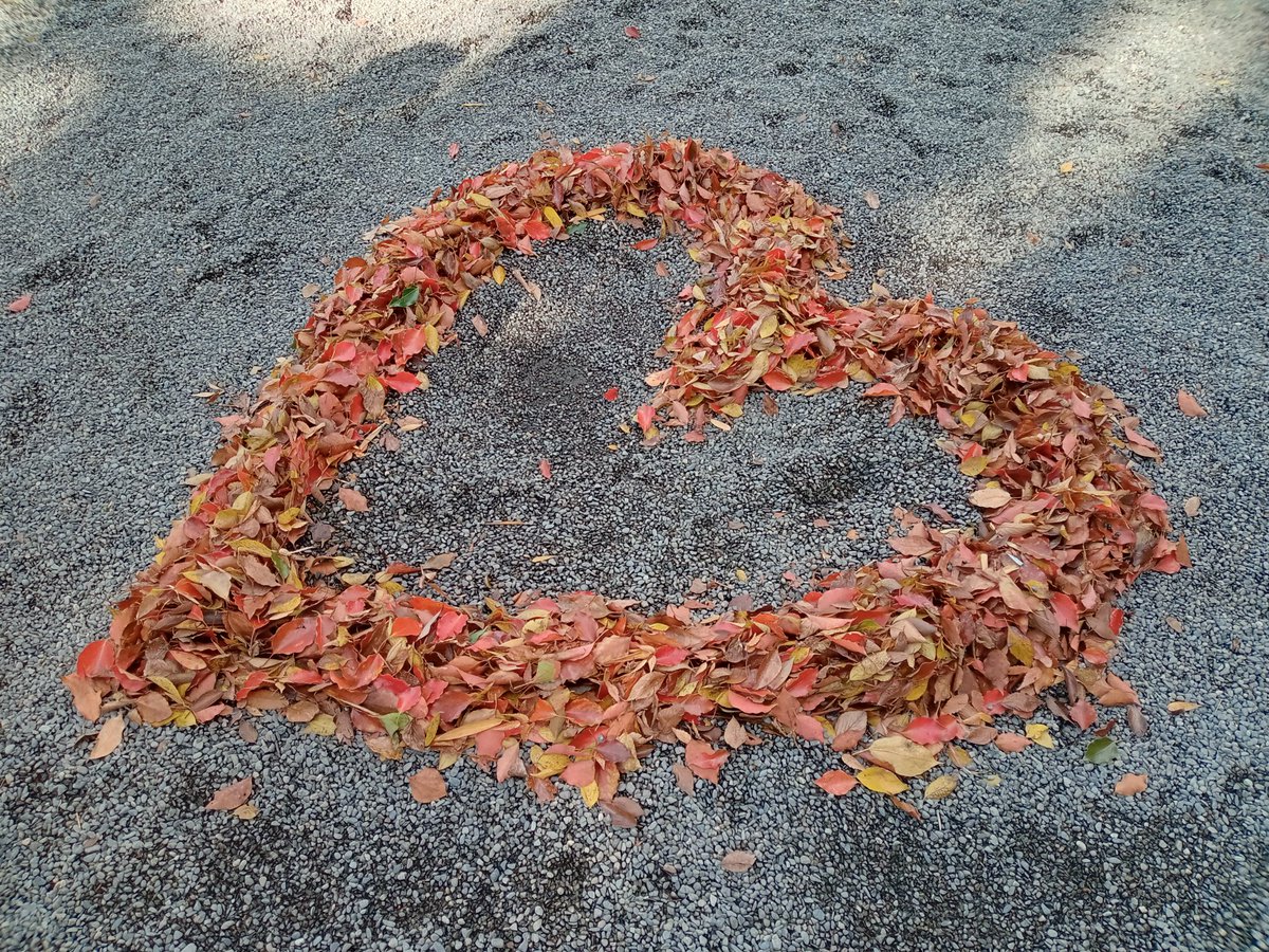 Bare🌹Rose 🗼Tokyo tweet media