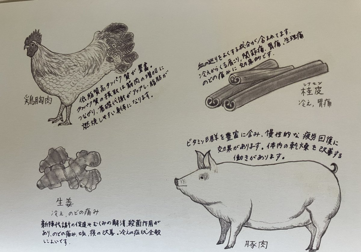 山口駅の近く?にあるまるまつ食堂行ってきたよ☺️メニュー表のイラストがものすごく可愛かった…!まるで食材絵本のよう😍ランチも身体にいいものばかりで整いましたわ〜☺️ 