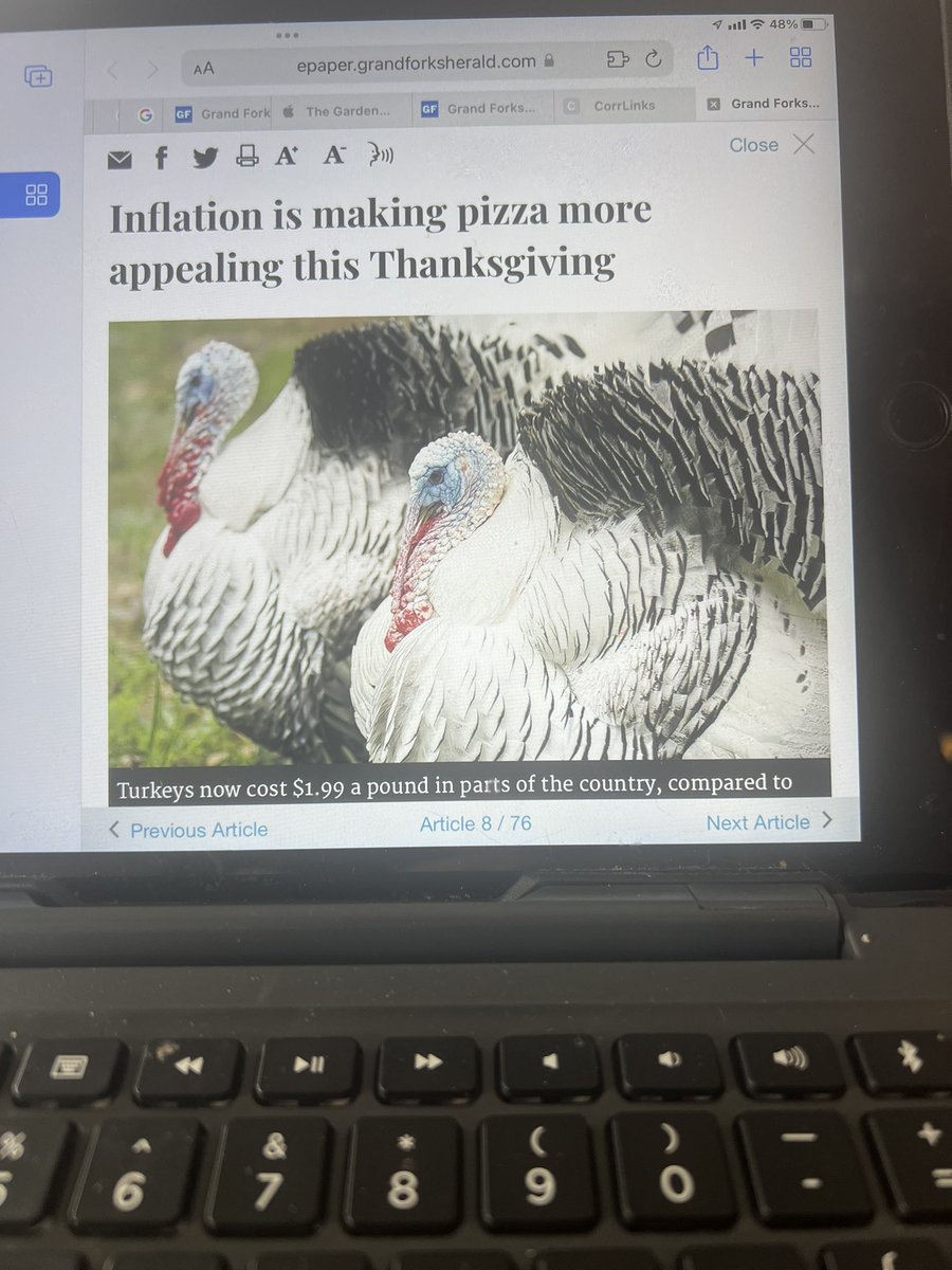 TozerRay's tweet image. Hey Biden, don’t pardon the turkey this year. Give it a middle class family.