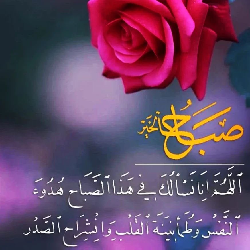 #صباح_الخير 

يا رب في صباح هذا اليوم نسألك أن تطمئن قلوبنا ، وتشرح صدورنا .
اللهم عطر صباحنا بذكرك  وشكرك ..صباح الثقة بالله ..
صباح التفاؤل .