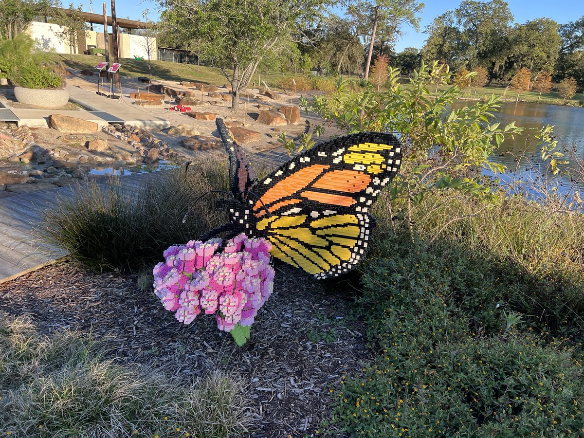 Enjoyed visiting Houston Botanic Garden and seeing the #lego art. Really neat place to see nature in #houston hbg.org