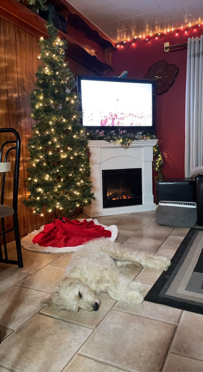 __amandq's tweet photo. We put the tree, lights, and garland today and it makes my heart happy to be decorating our very own home🥰 https://t.co/6GSEDBpiOT