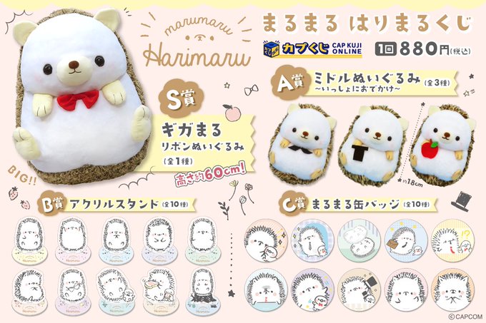 ボトムを作り続け40年 ストリートファイター×仕事猫 カプくじ 缶バッジ