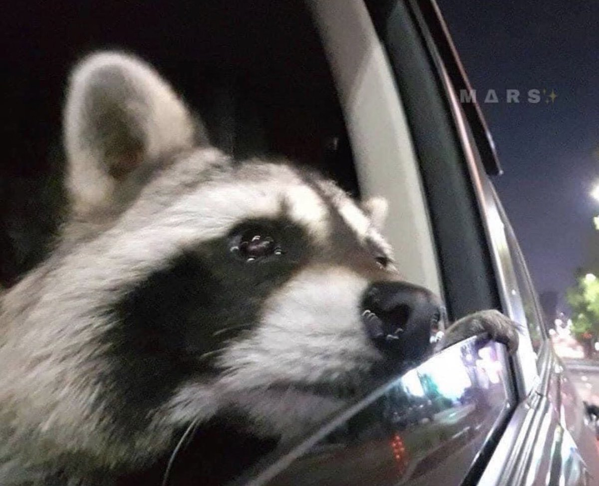 when it was supposed to be a good time but u started puking